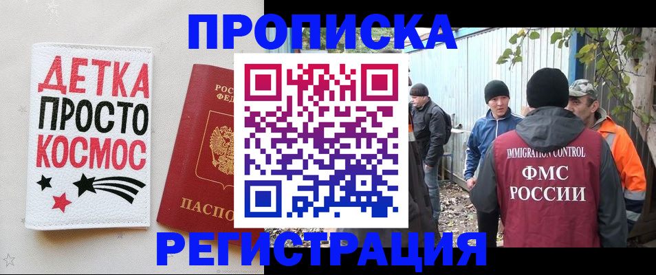 прописка поиск в Новодвинске